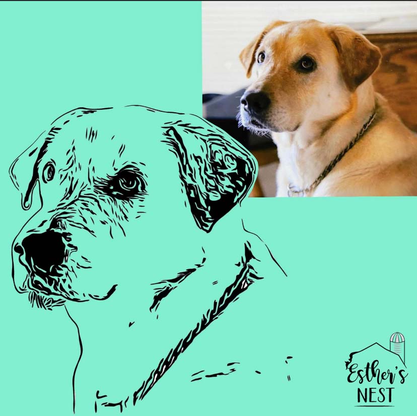 Custom Pet Portrait | Pet Collection | Home Decor Collection